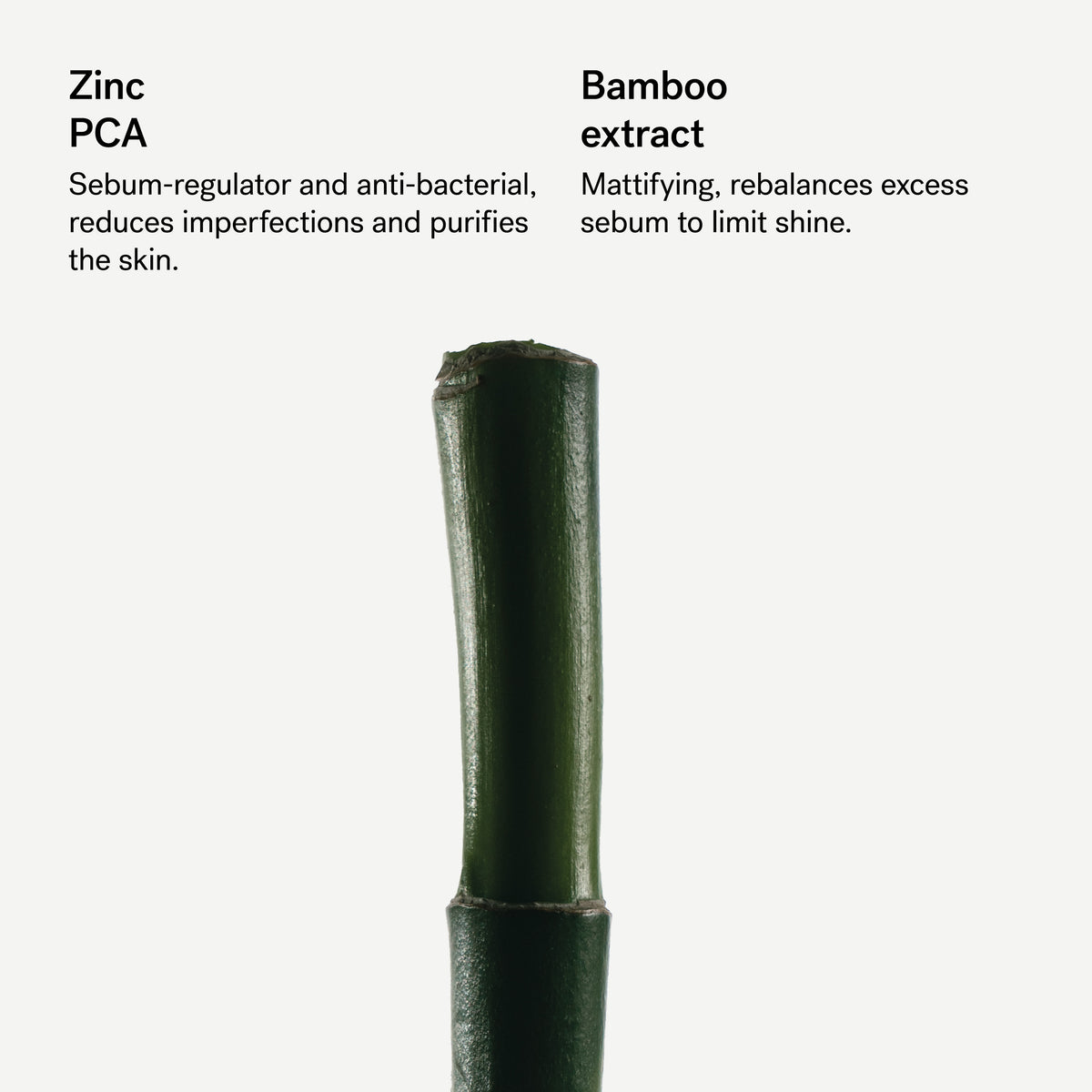 Purifying Moisturizer 4% Zinc PCA + Bamboo Extract — Typology