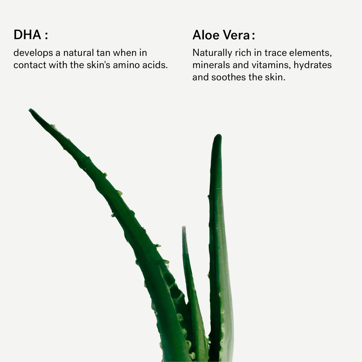 Self-Tanning Body Gel 6% DHA + Aloe Vera — Typology