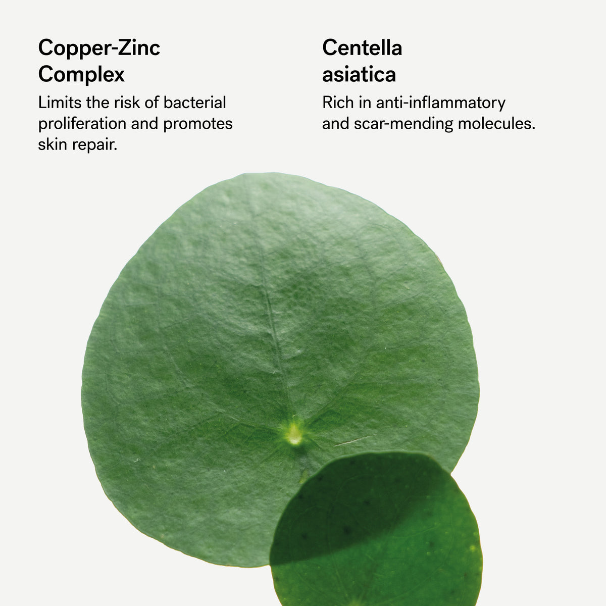 Repairing Cica-Balm 0.5% Zinc-Copper Complex + Centella Asiatica — Typology