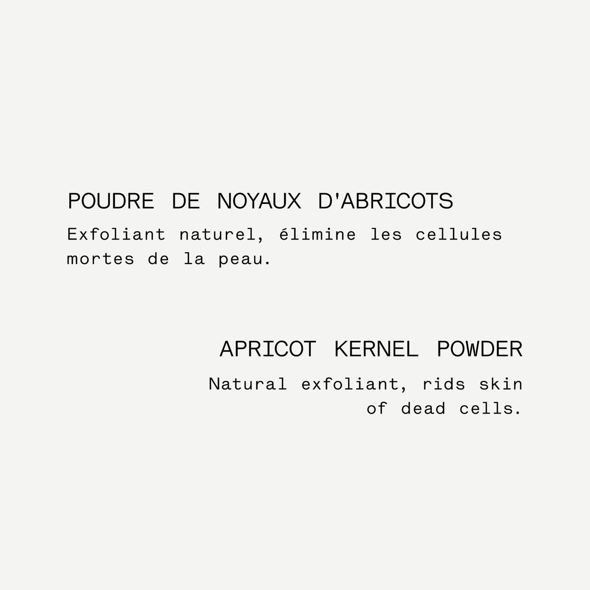 noyaux abricots