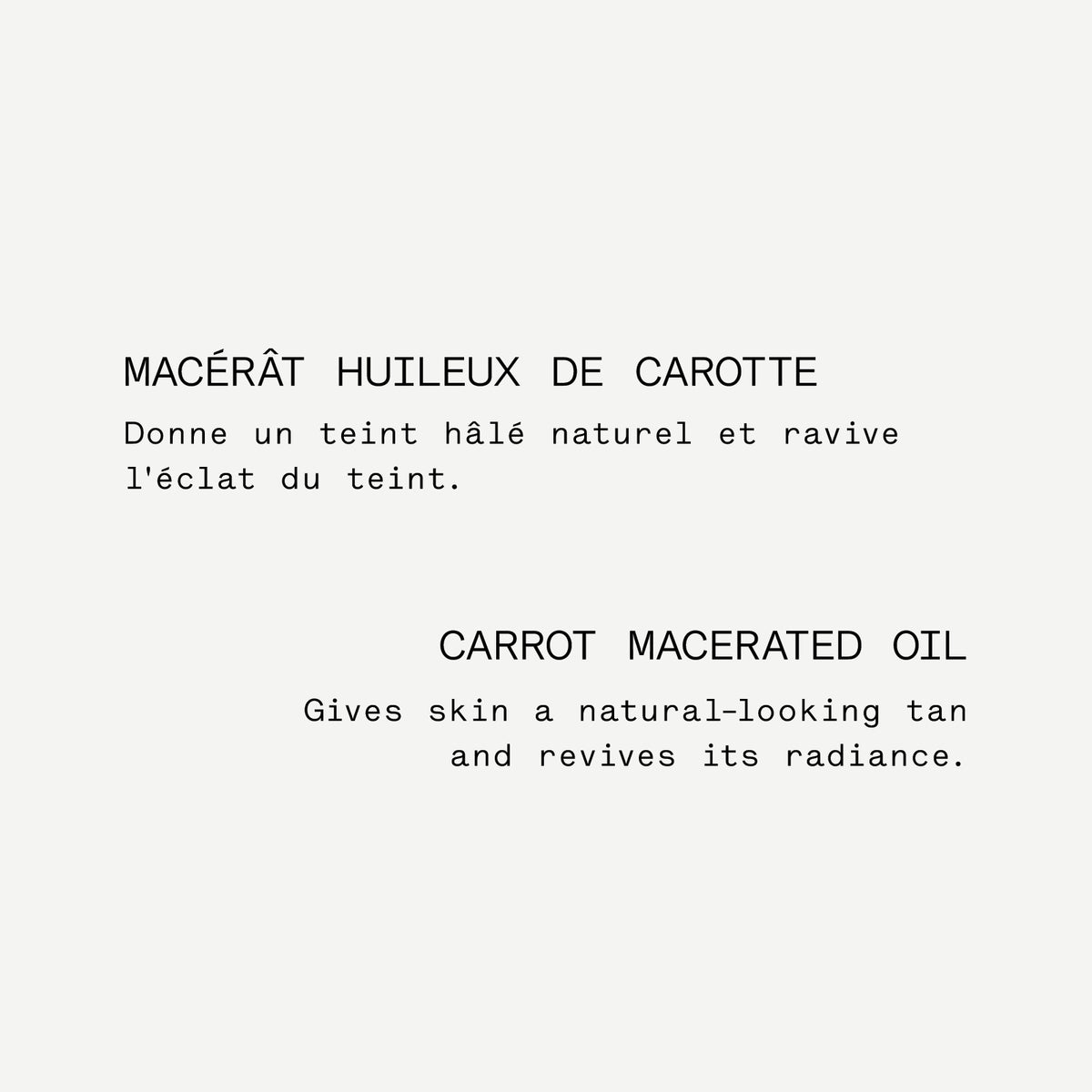 carotte