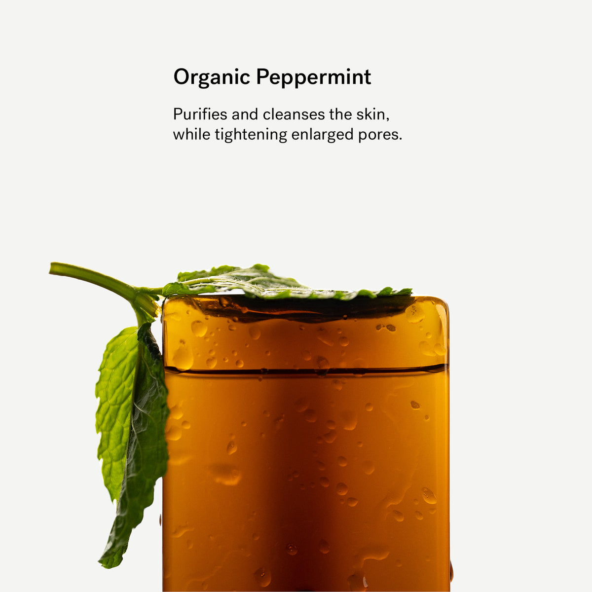Organic Peppermint Hydrolate — Typology