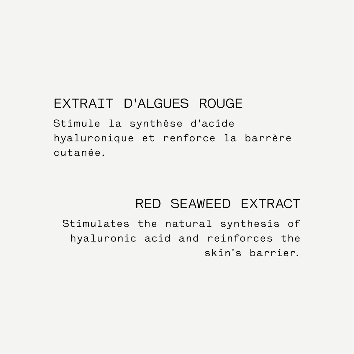 Plumping Serum 3% Polyglutamic Acid + Red Seaweed Extract — Typology