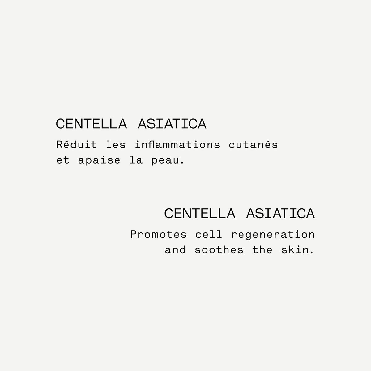 Mark-Fading Serum 14% PHA + Centella Asiatica — Typology