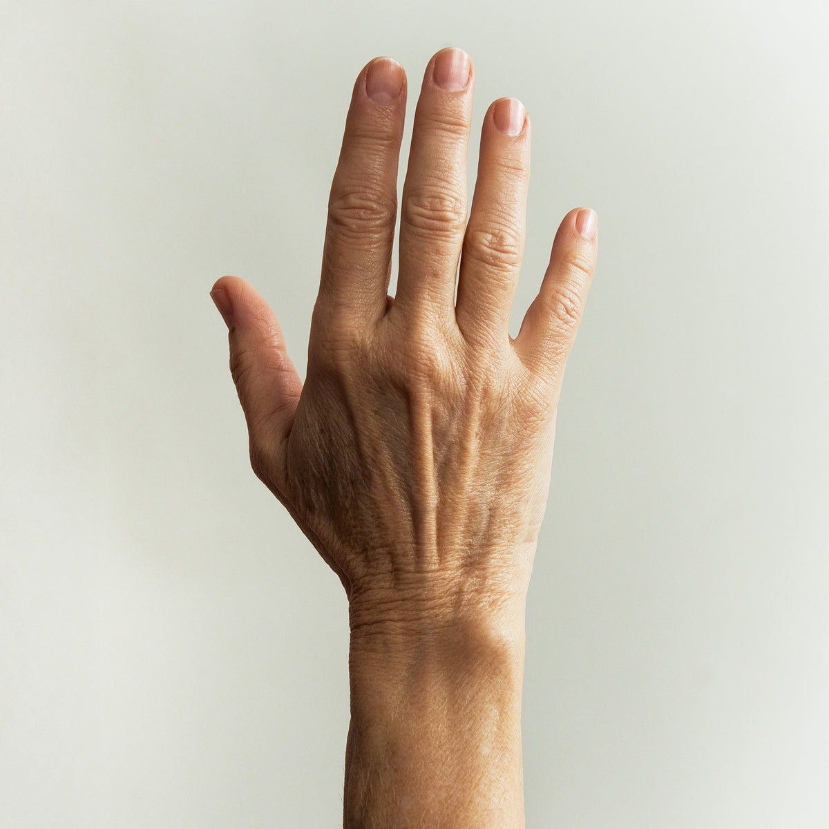 Nourishing Hand Cream   1% Arginine PCA + 5% Niacinamide — Typology