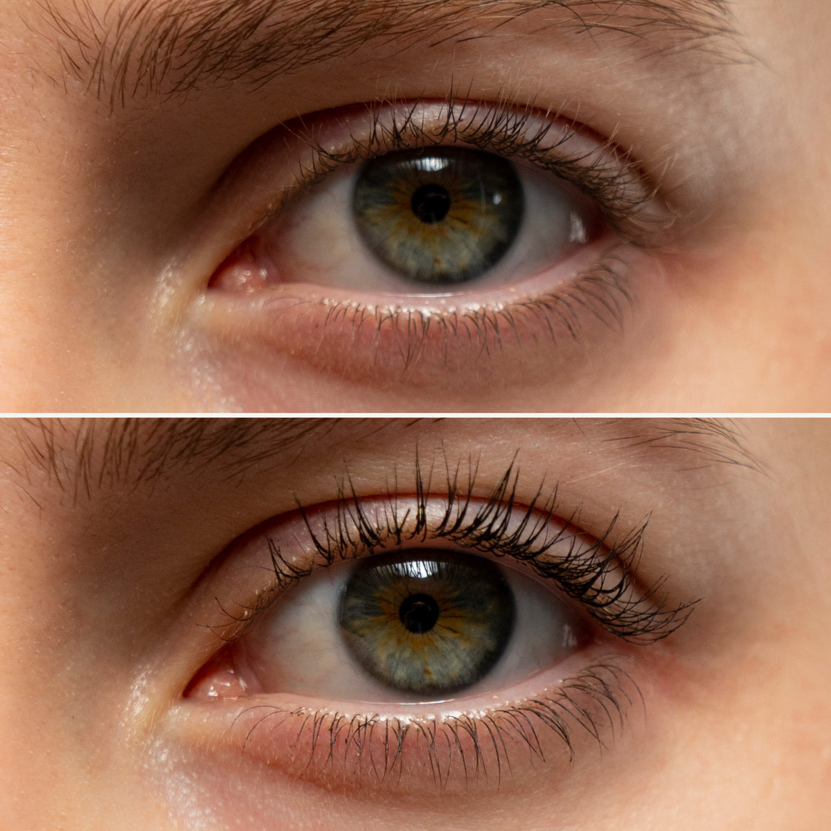 Essential Eye Trio