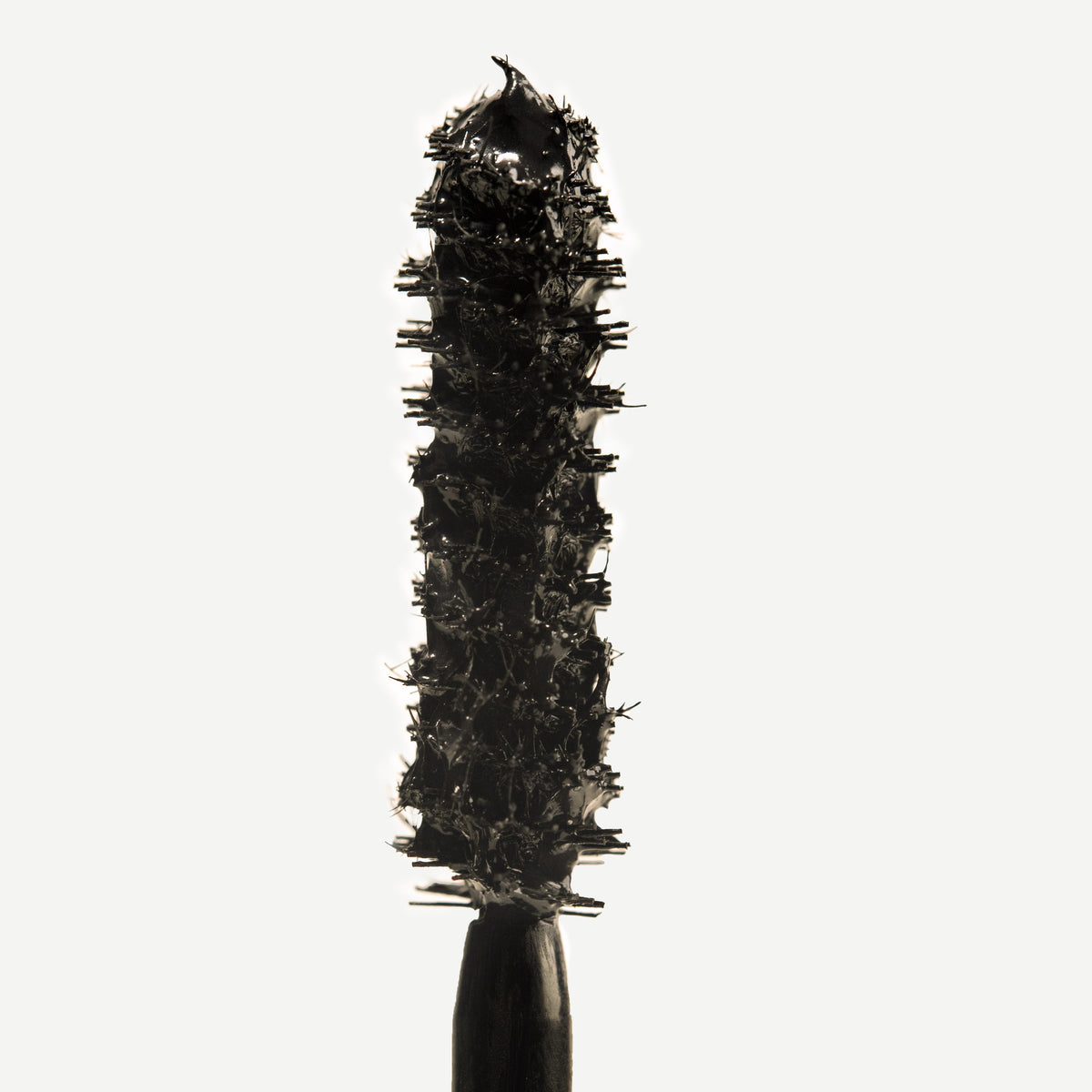 Tinted Face & Lash Duo