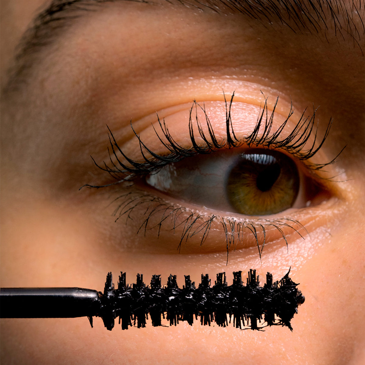 Tinted Face & Lash Trio