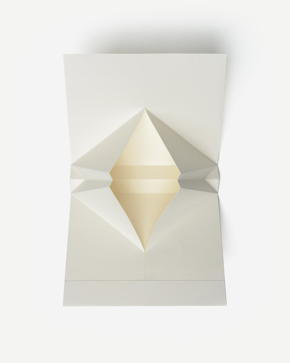 Gift pouch - Large size   — Typology