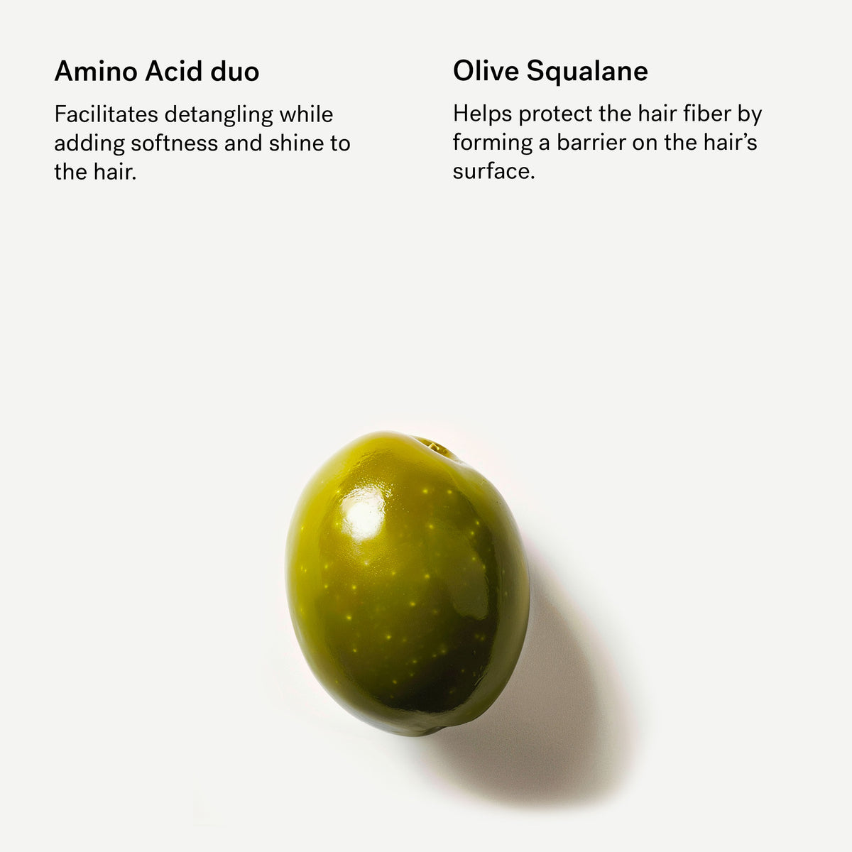 Fortifying Conditioner 1% Amino Acids + Squalane — Typology