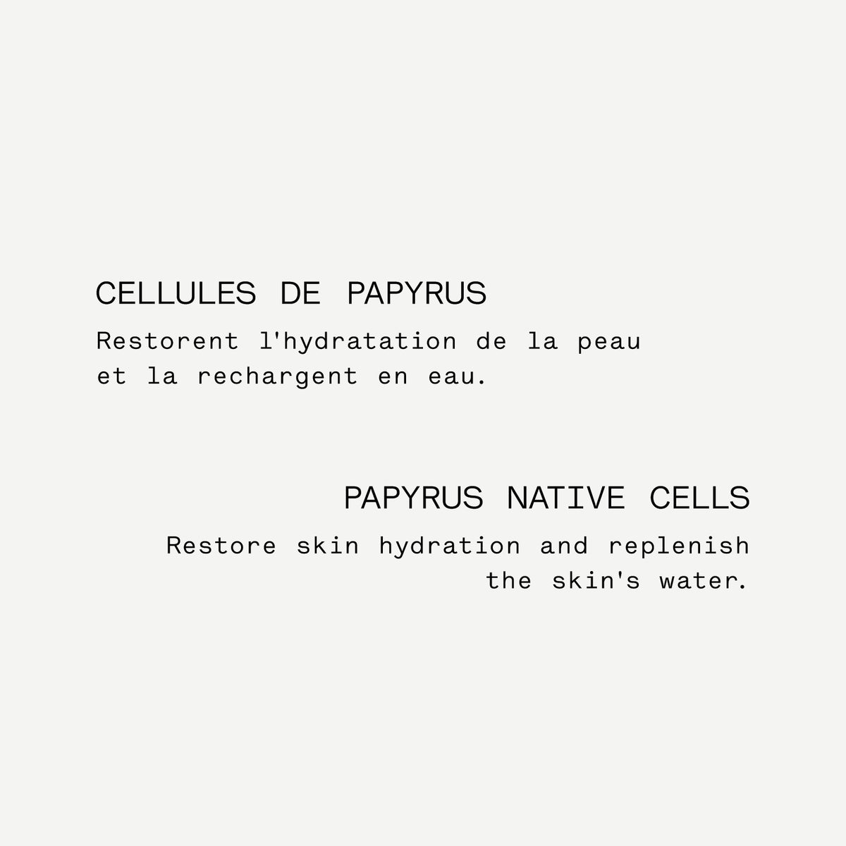 Texte 1